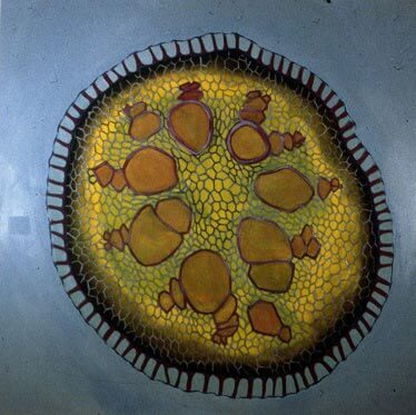 Oil on canvas by Jody Saunders