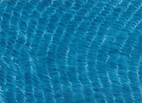 Cyanotype by Jody Saunders