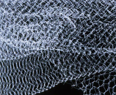 A photogram by Jody Saunders