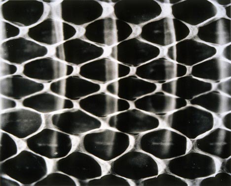 Camera-less photograhpy by Jody Saunders